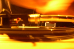 DSCN7328