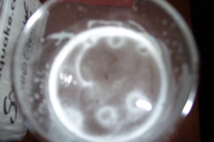 141006_mamas_17