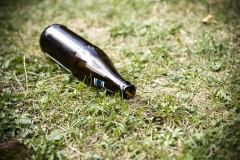 18.07.10_picknick_20