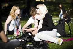 picknick_04