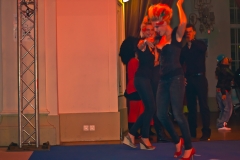 Papageienball 12.11.2011_MG_4676