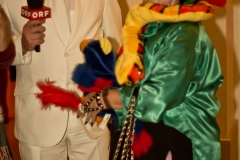 Papageienball 12.11.2011_MG_4727