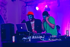 Papageienball 12.11.2011_MG_4780