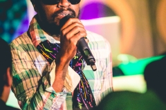 06_04_2013_StruttinBeats_presents_WILD_OUT_Special_PERFECT_GIDDIMANI_MG_0754