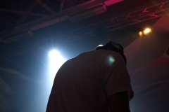 _SUB0194
