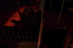 halloween06_23